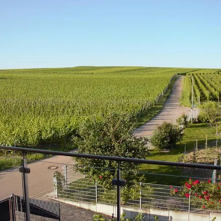 Gaestehaus Casa Luna - Paradiesische Ferienwohnungen Am Kaiserstuhl! Bischoffingen Extérieur photo