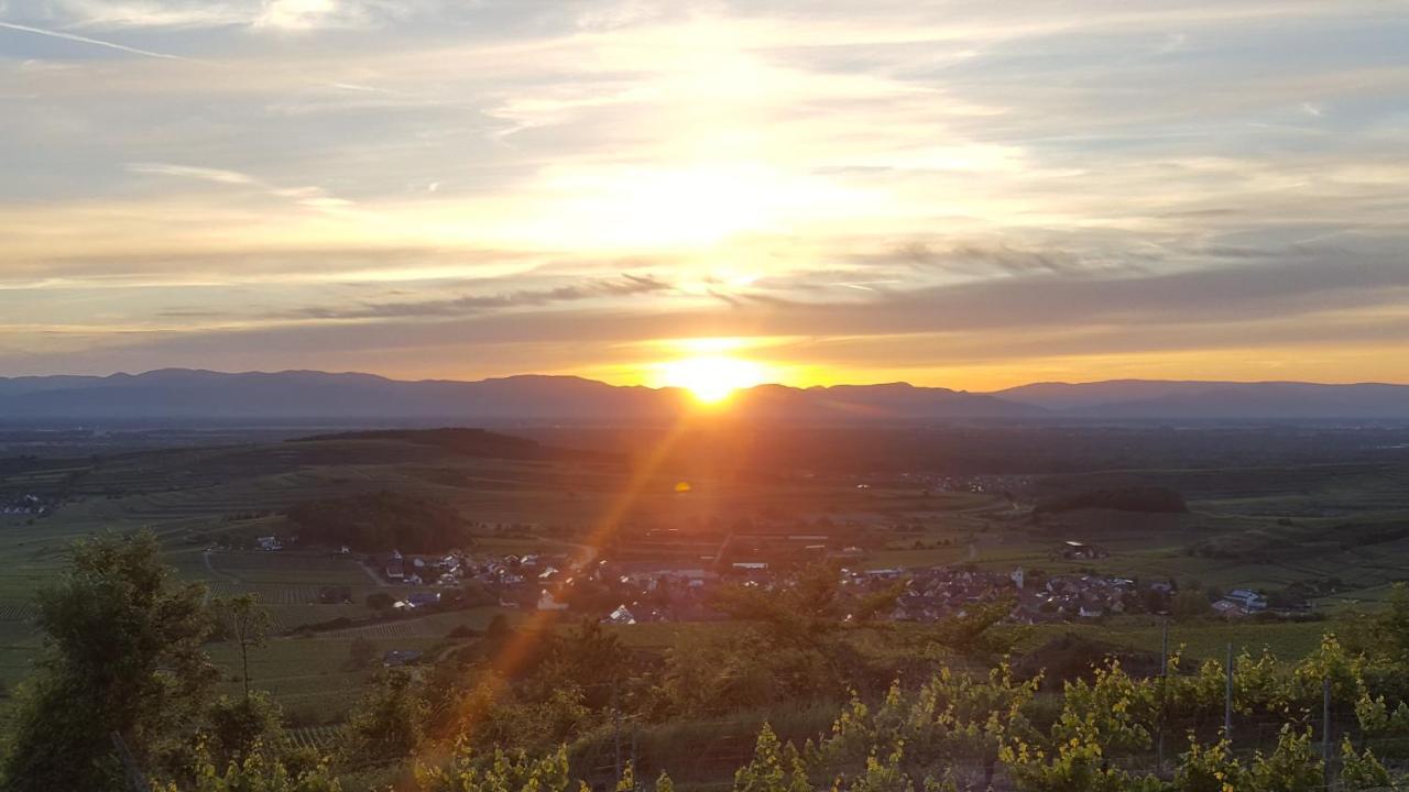 Apartment Casa Luna - Paradiesische Am Kaiserstuhl!