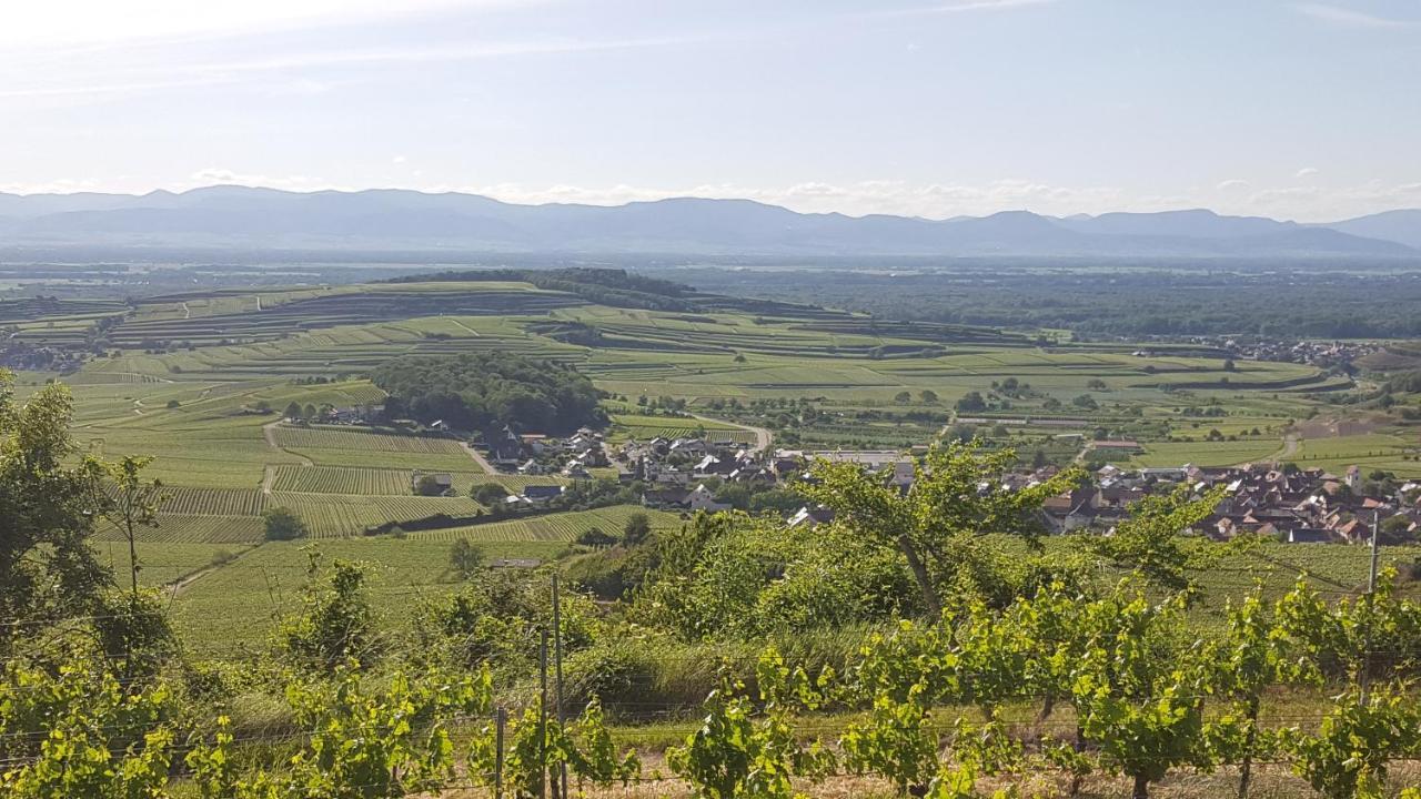 Apartment Casa Luna - Paradiesische Am Kaiserstuhl! Bischoffingen
